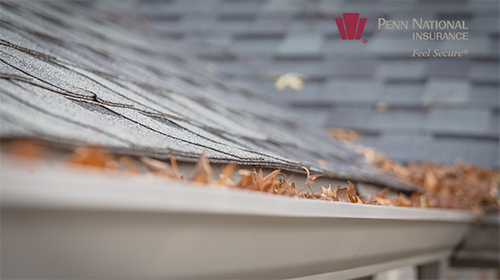 Gutter-PNIlogo-WEB.jpg