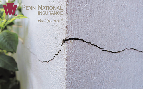 FoundCrack-Web_PNI.png