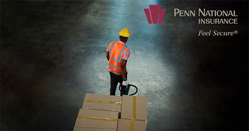 DeskInjury-PNI_logo